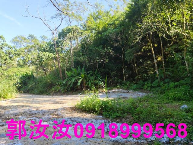 台南白河農地-2