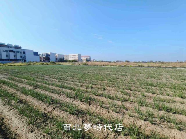 安南農地-2