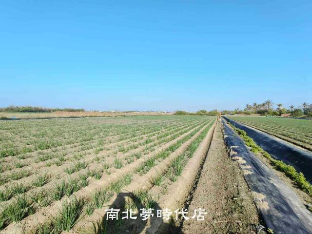 安南農地-3