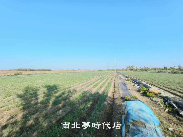 安南農地-5