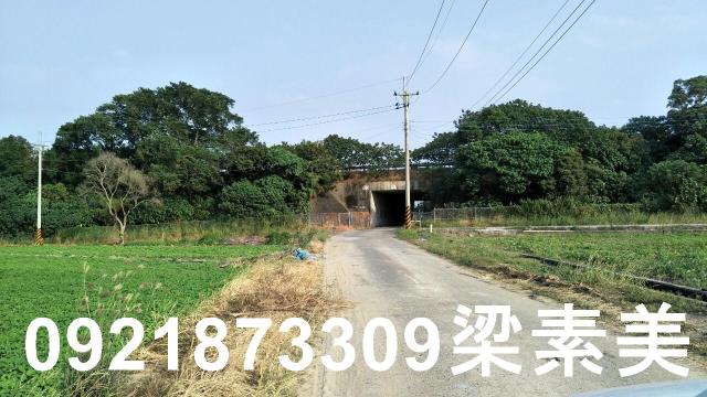 善化農地-2