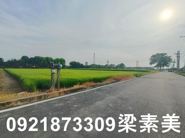 善化農地-1