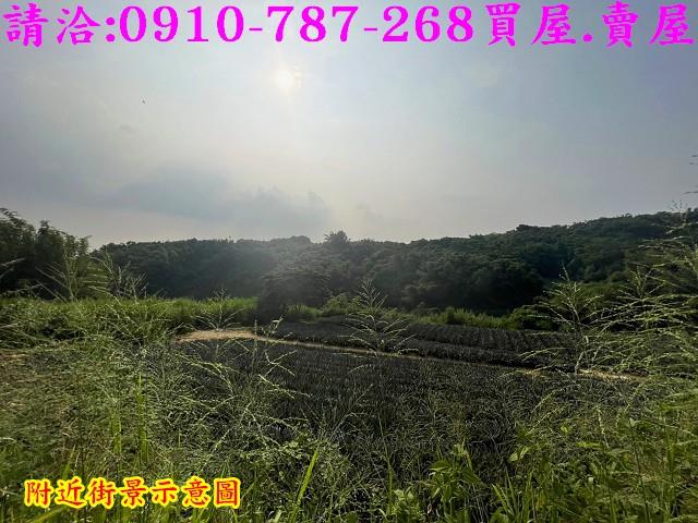 關廟農地-13