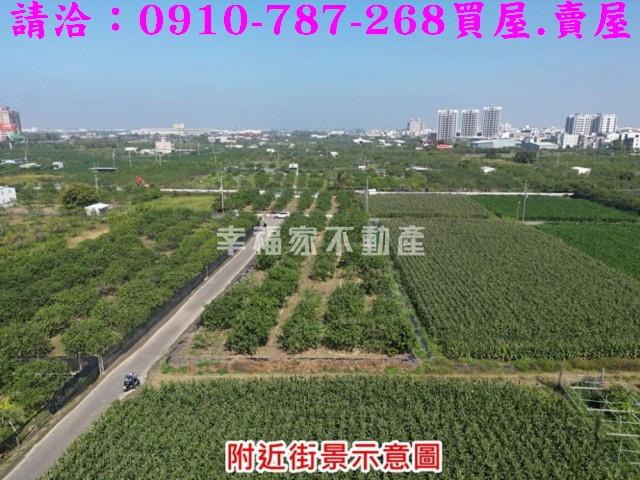 麻豆農地-8