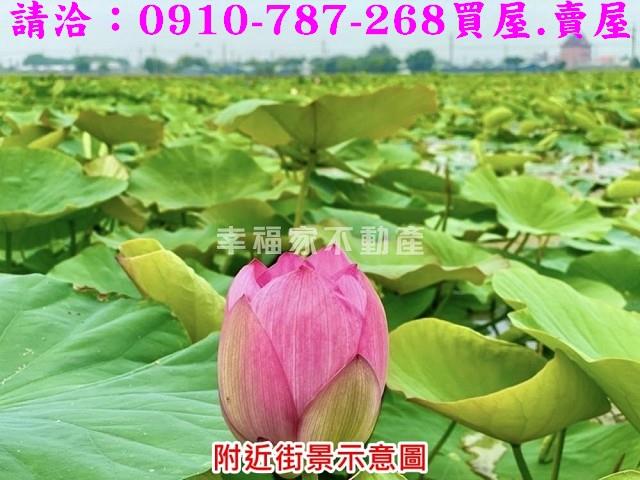 白河農地-14