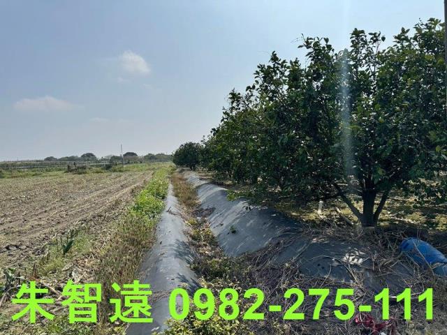 麻豆農地-6
