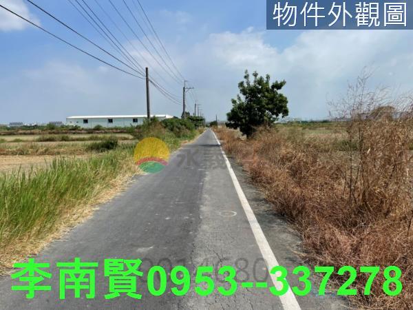 安定農地-5