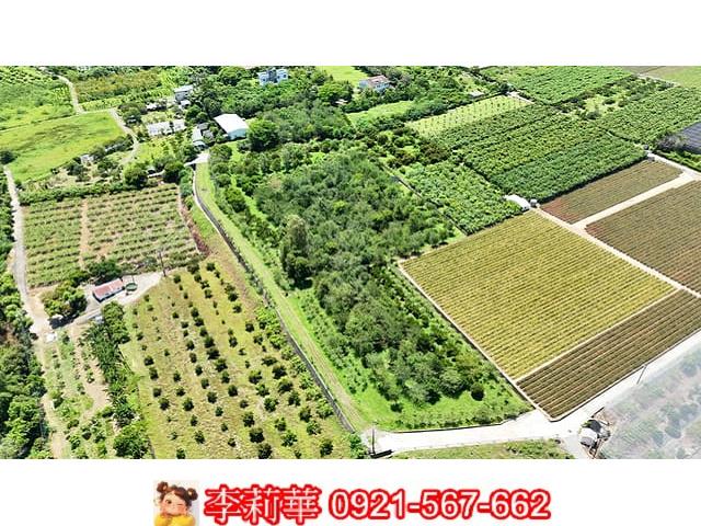 台南玉井農地-14