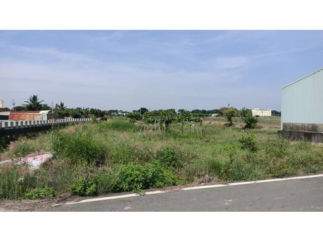 新市農地-9