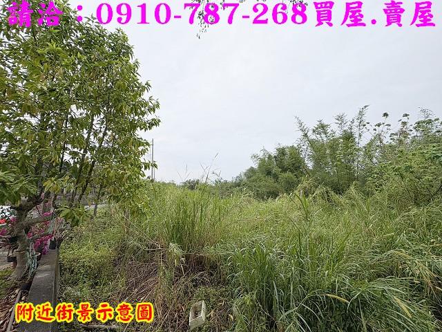 台南關廟農地-9