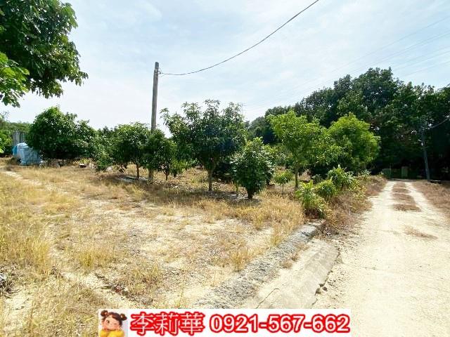 官田農地-5