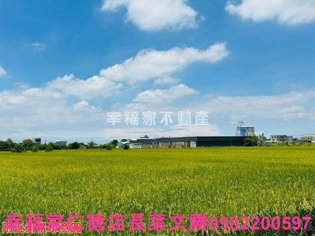 台南農地-3
