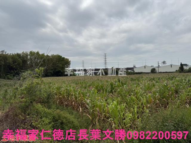 台南農地-10