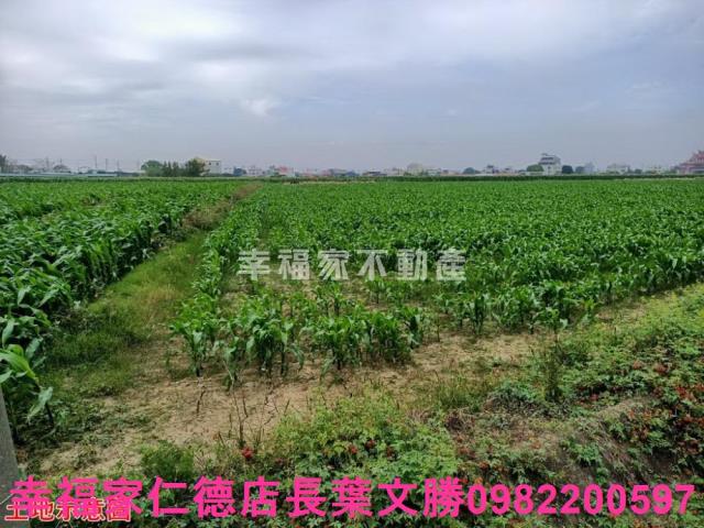 台南佳里農地-2