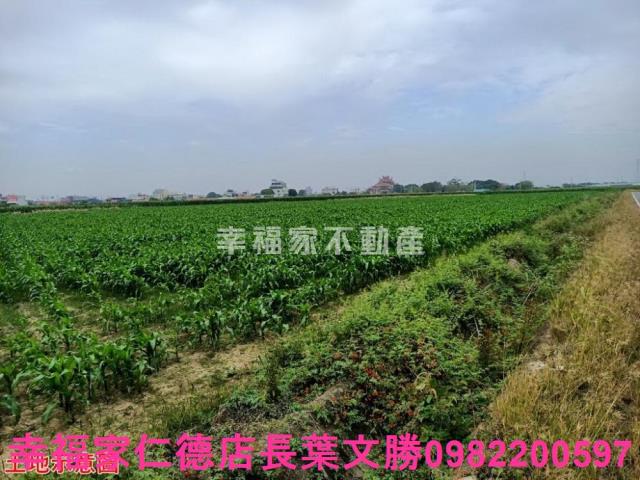 台南佳里農地-3