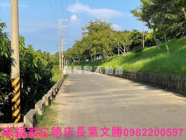 台南仁德農地-11