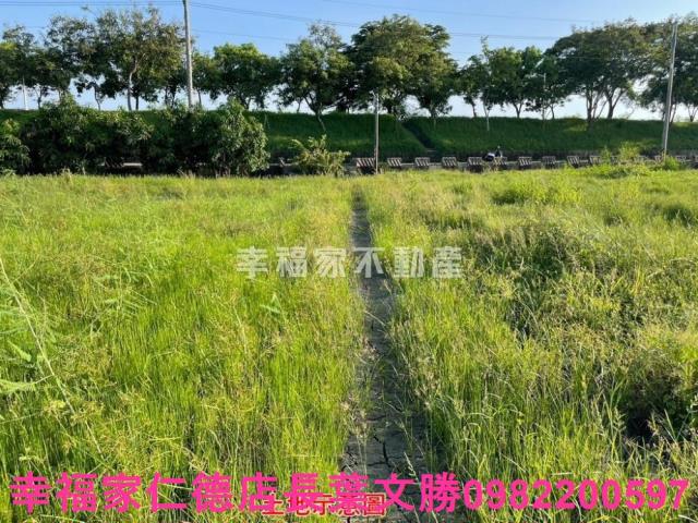 台南仁德農地-1