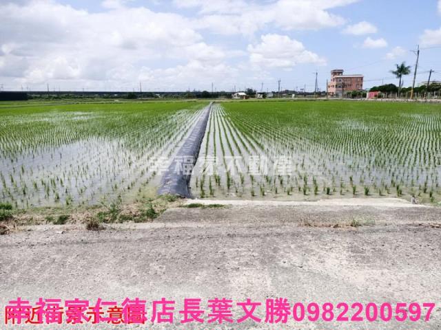 台南六甲農地-10