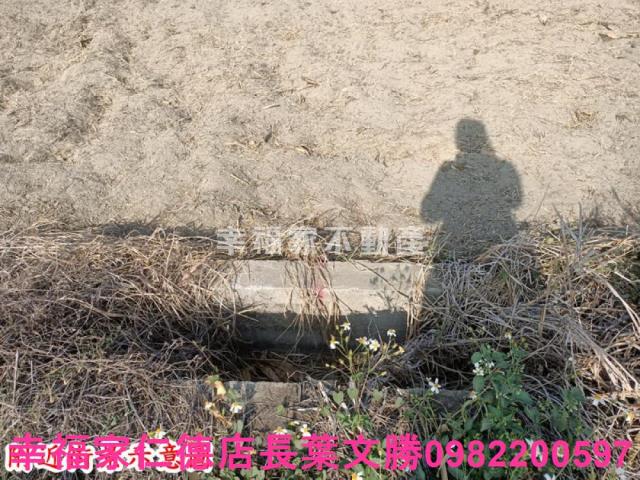 台南七股農地-11