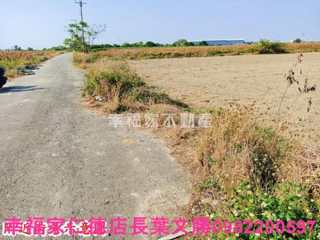 台南七股農地-5