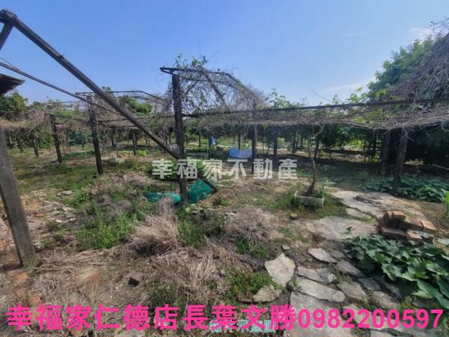 台南仁德農地-13