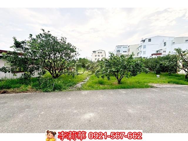 台南麻豆農地-5