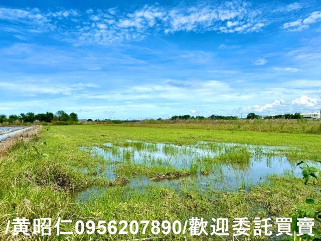 鹽水農地-1