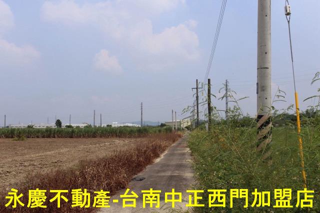 新市農地-11