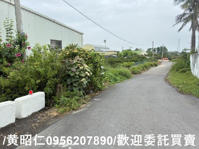 佳里農地-13