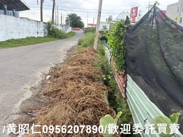 佳里農地-6
