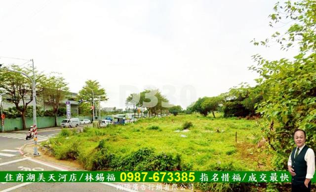 仁德農地-5