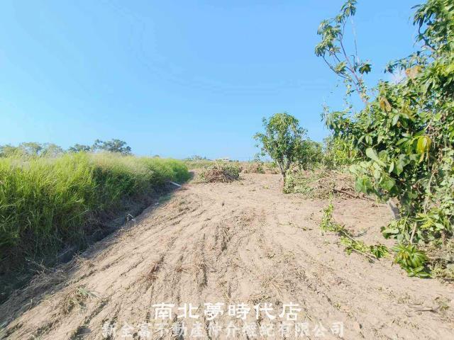 台南七股農地-3