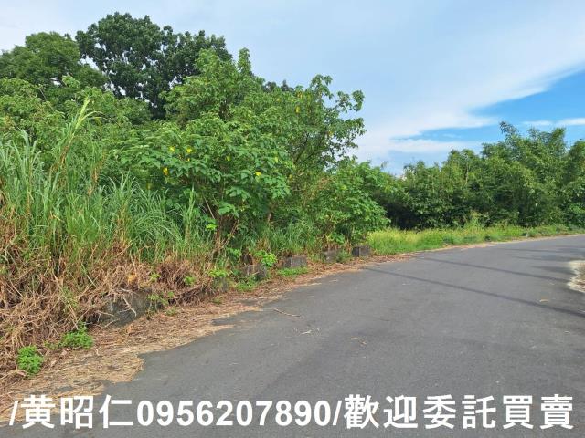 台南關廟農地-6