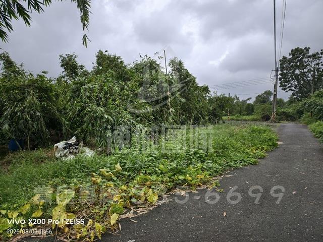 關廟農地-4