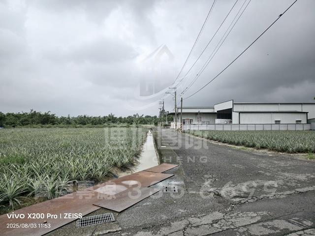 關廟農地-8