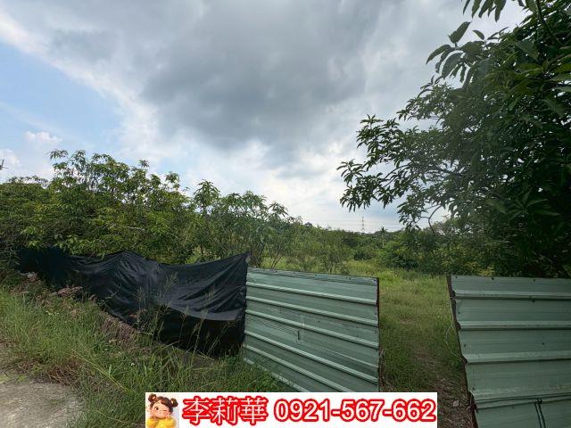 台南農地-3