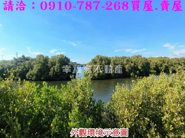 台南農地-2