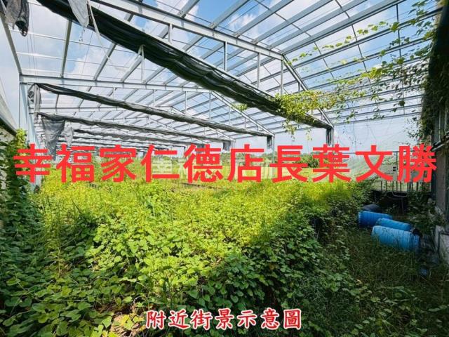 六甲農地-11