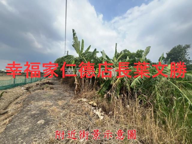 台南農地-2