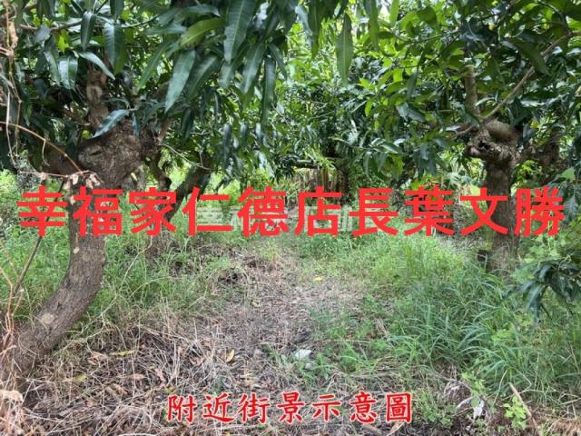 台南農地-8