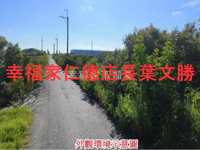 安南農地-12