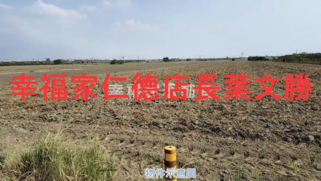 麻豆農地-9
