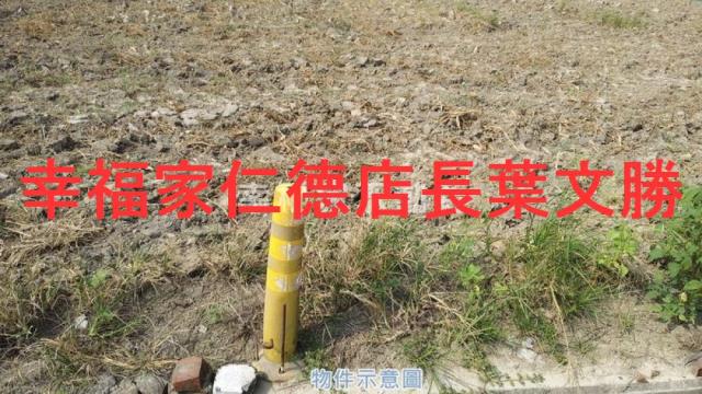 麻豆農地-14