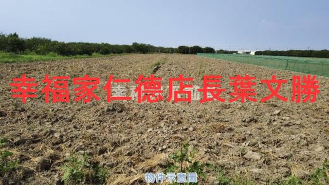 麻豆農地-3
