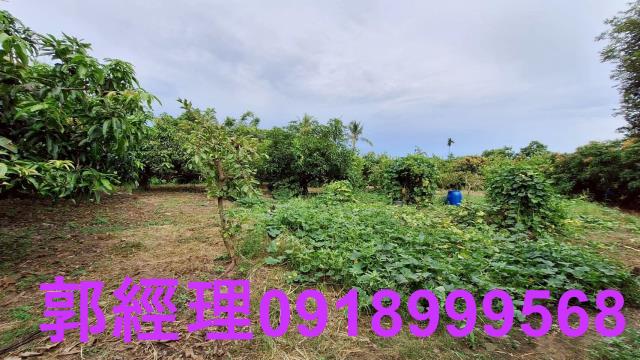 官田農地-12