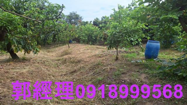 官田農地-6