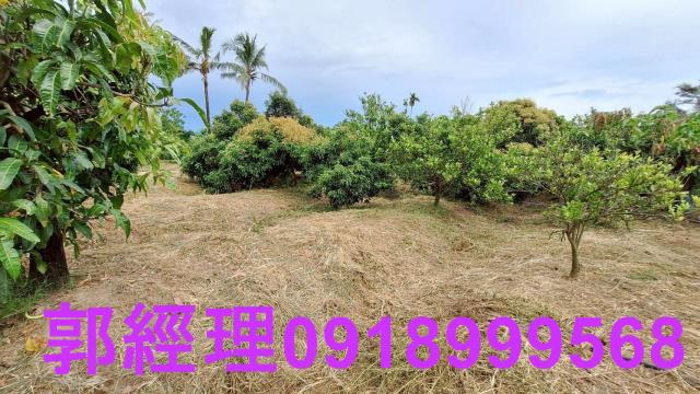 官田農地-7