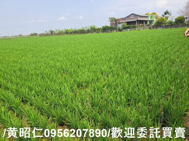 台南白河農地-0