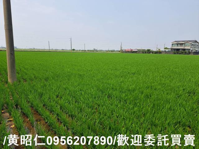 台南白河農地-7