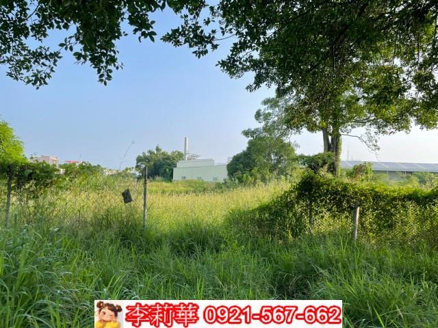 台南農地-11